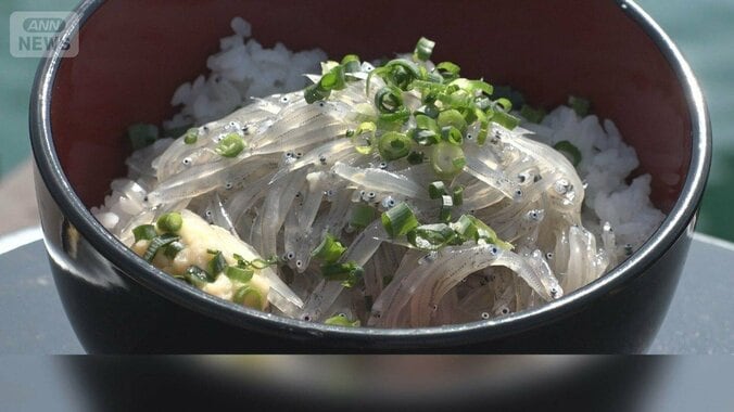 「日本一の鮮度」静岡・用宗のシラス漁を燃料高が直撃　船主協力、水揚げ分け合う 1枚目