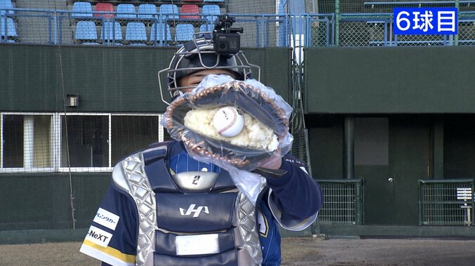 【写真・画像】　1枚目