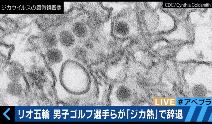 リオ五輪メダル最有力候補が出場辞退　選手が怯える「ジカ熱問題」 1枚目