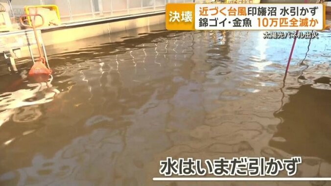 復旧の見通しは立たず