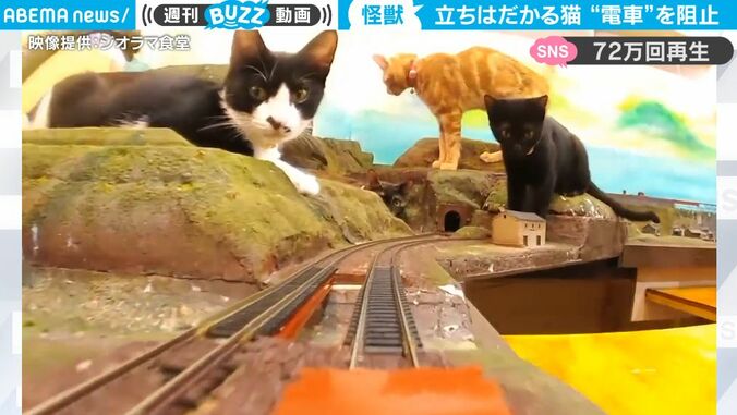 走行中の電車を“猫パンチ”で脱線させた？ まるで怪獣のような巨大猫たちが突如出現して大暴れ！ 可愛すぎる超ド迫力映像がネット上で話題に 1枚目