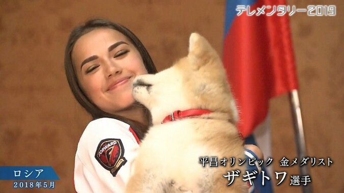 今や発祥の地に暮らすのはわずか30頭…プーチン大統領に贈られた「ゆめ」を育て上げた秋田犬ブリーダーの奮闘 2枚目