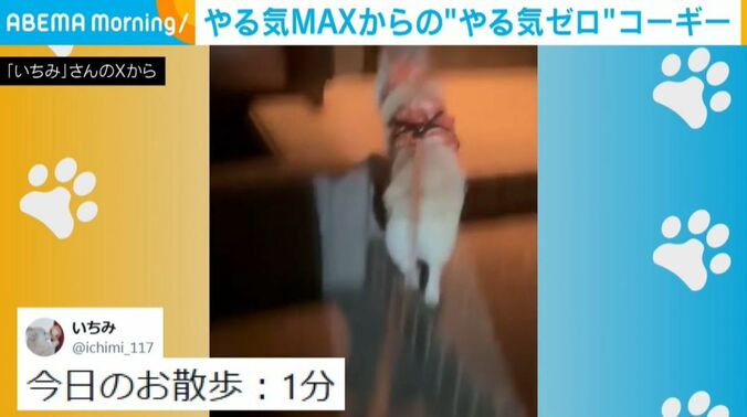 いちみちゃん