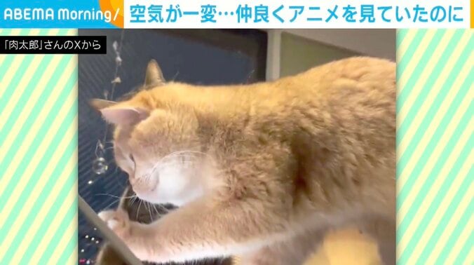 肉太郎くんとムギちゃん