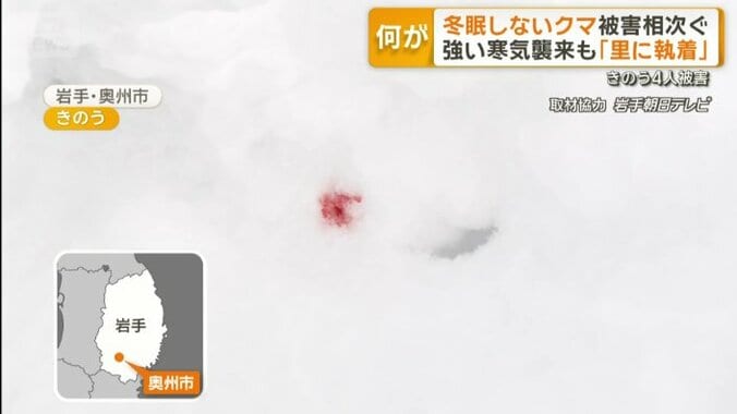 降り積もった雪に残る血痕