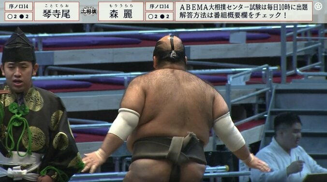 貴重なバックショットに整った個性的な髷