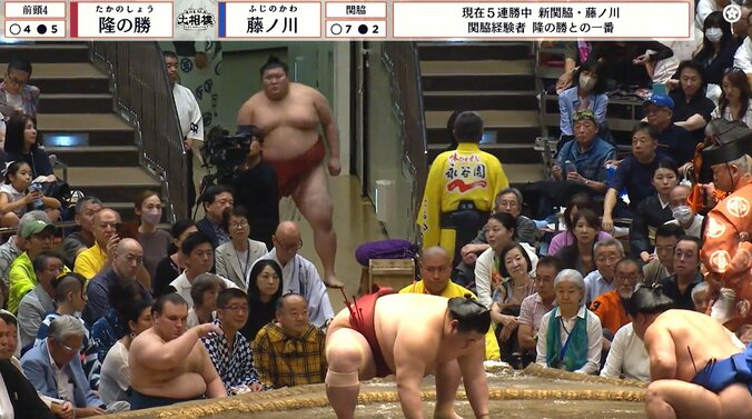 「スゴイ髪型の人いる」大相撲、最前列に“異質”な存在感を放つ著名人が鎮座 「どうしても目に入る」ざわめき広がる 2枚目
