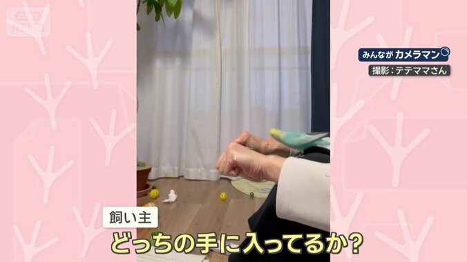 ビー玉を隠すと…