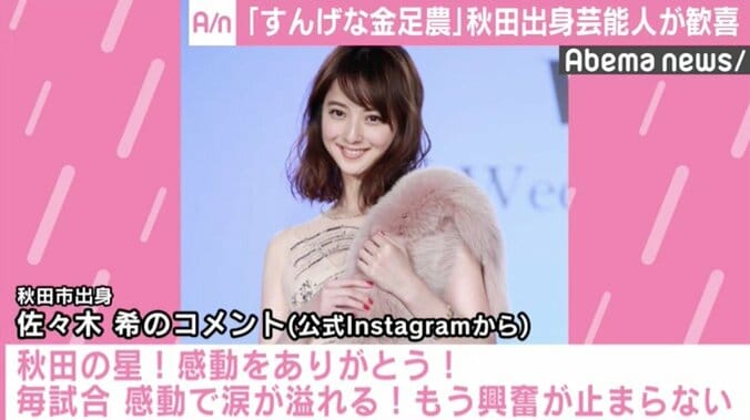 佐々木希、甲子園決勝進出の金足農に「秋田の星」と絶賛 1枚目