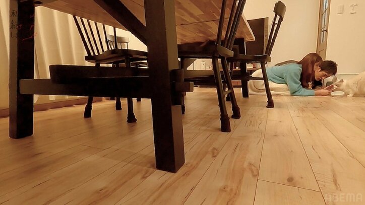 貴島明日香、15歳年上夫との新居に猫を迎え大興奮！夫婦で夢中に「かわいすぎて、どうしよう…」『私たち結婚しました4』第3話