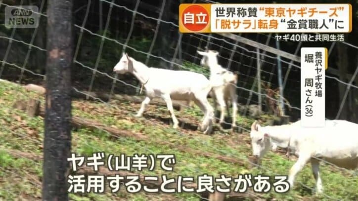 東京で酪農を始めた理由