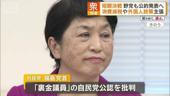 社民党の福島瑞穂党首