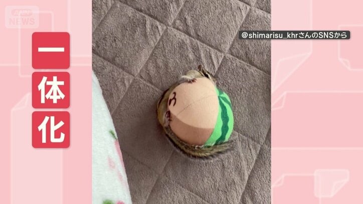 ボールと一体化