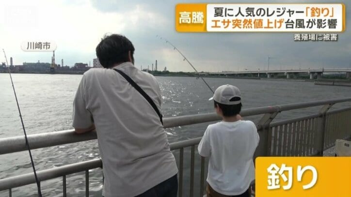 夏のレジャーとしても人気の釣り