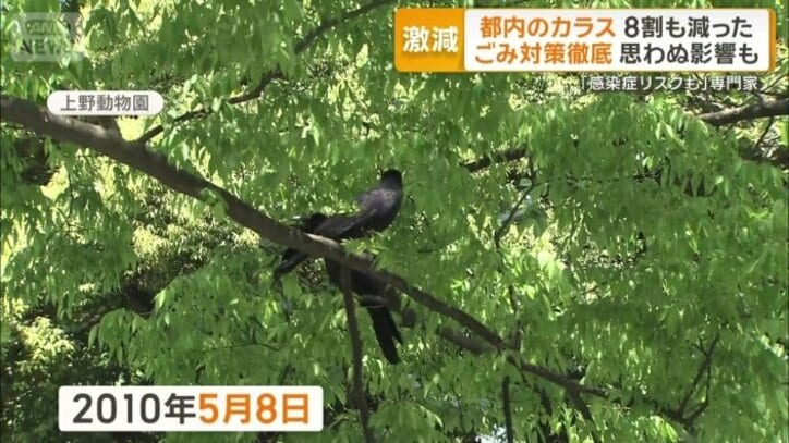 2010年5月8日の上野動物園