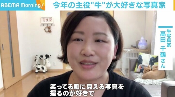 「癒しをくれる動物。今年は注目されるといいな」 写真家・高田千鶴が“牛”にこだわる理由