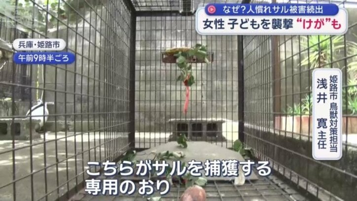サルを捕獲する専用のおり