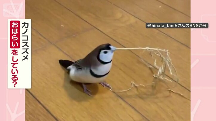 おはらいしてる？