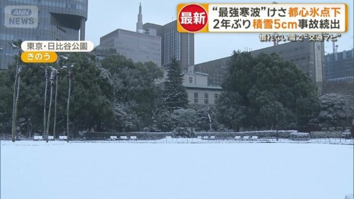 雪で覆われた東京の中心部