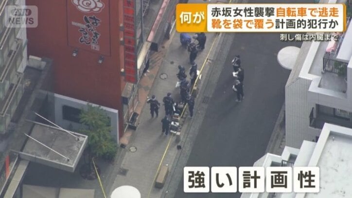 「強い計画性」