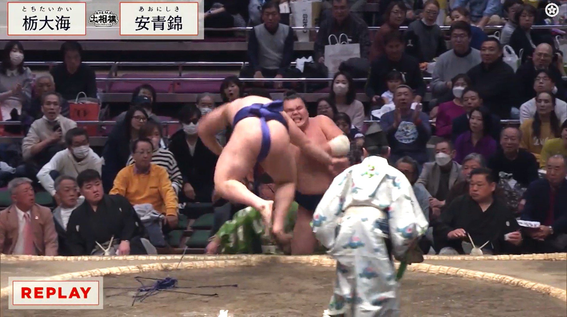 美女格闘家　ハプニング 2ページ目) 「あら大変」行司と親方に同時ハプニング… 力士が土俵下に転落で館内騒然 行司を襲った不運に「行司さんも命がけ」ファン注目 | 大相撲 |  ABEMA TIMES | アベマタイムズ
