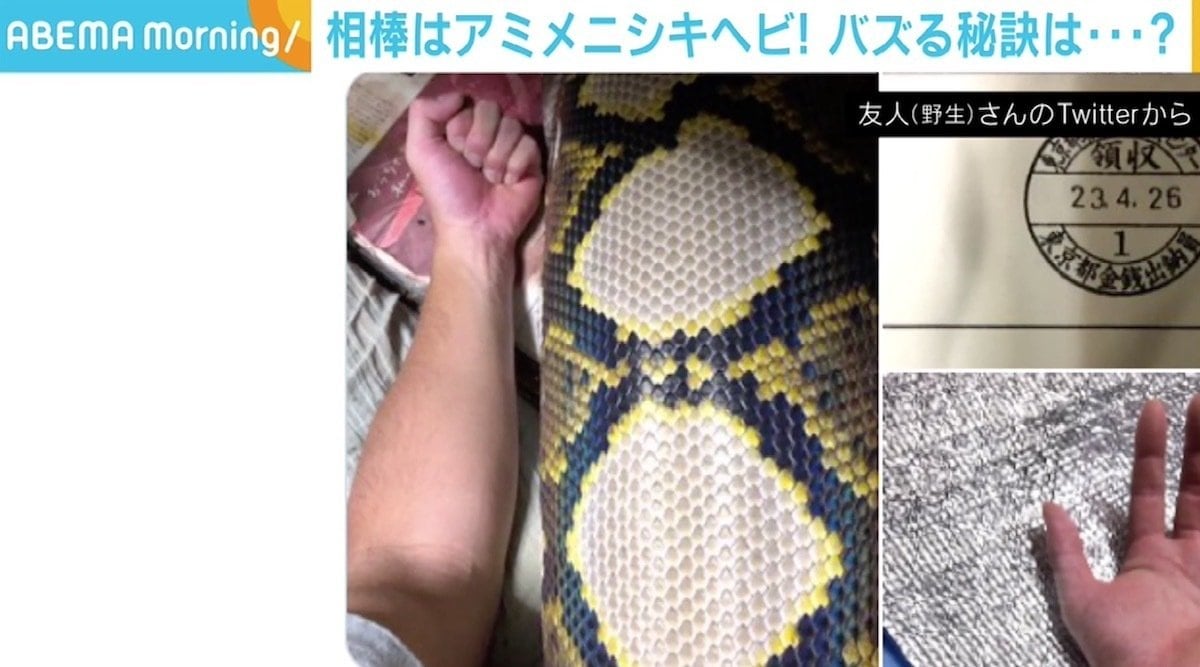 ニシキヘビ 脱走 飼い主 twitter