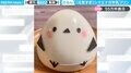 「食べるの勿体無い…」“ぷるぷる”のシマエナガ牛乳プリンに「大事に飾りたい」「可愛すぎて食べられない！」と反響