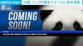 中国 パンダ2頭をアメリカに貸与 発表