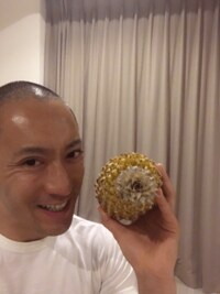 市川海老蔵、手作りスープ持参で麻央の元へ