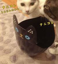 鈴木蘭々　母の独特なセンスが光る誕生日プレゼントに困惑「母よ…」