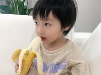 アレクサンダー『カゲトラの誕生日プレゼント20個の巻』