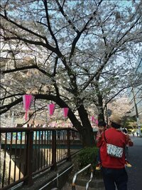 鈴木おさむ、手術をためらい1か月で5kg減量を宣言「無理せず。ちょっとずつ」