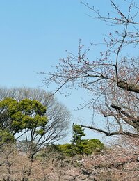 だいたひかる『検査へ』