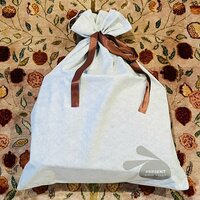 だいたひかる『もう時間が無い』