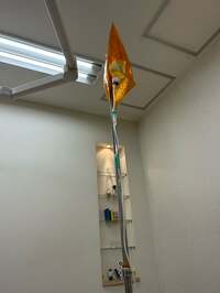 平野ノラ『高濃度ビタミンC』