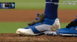 強面投手の“もふもふ”愛猫スパイクに視聴者騒然 高橋尚成氏「よく作りましたね」