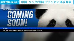 中国 パンダ2頭をアメリカに貸与 発表