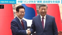 中韓“パンダ外交”展開 追加貸与を協議