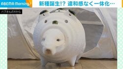 謎の生き物発見!? チンチラが蚊取り線香の容器と一体化した“笑撃的”な姿が話題