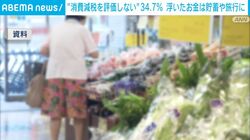 “消費減税を評価しない”34.7％ 浮いたお金は貯蓄や旅行に