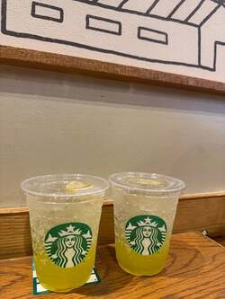  堀ちえみ、スタバで休憩中に娘から教わったこと「どういう意味だろ？」 