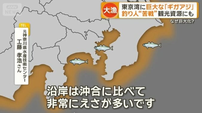 なぜ巨大化？