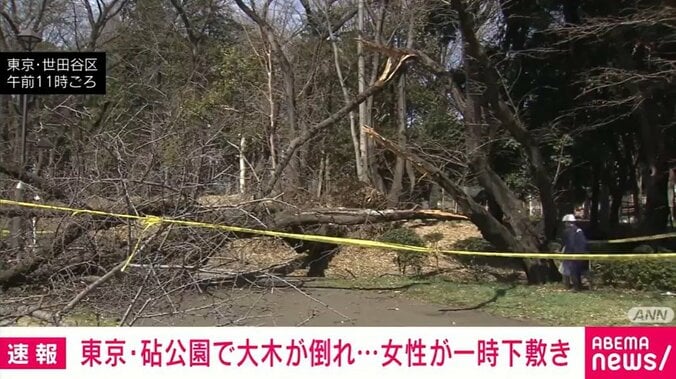 東京・世田谷区