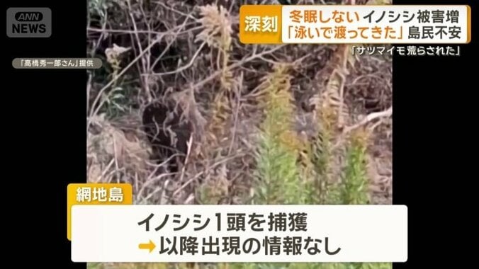 1頭を捕獲