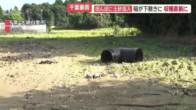 平賀さんの田んぼ