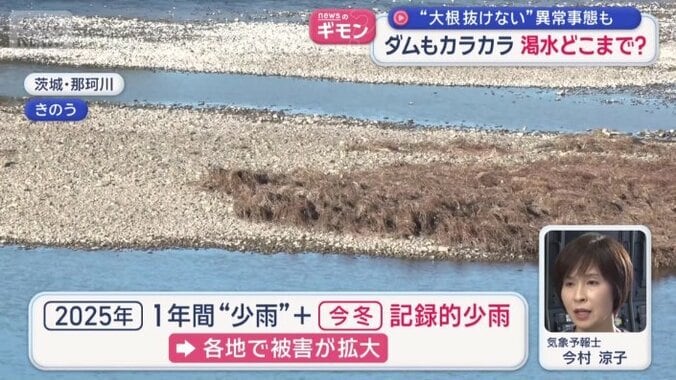 去年は1年を通しても雨が少ない年