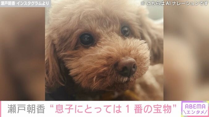 【写真・画像】井ノ原快彦の妻・瀬戸朝香、“パパそっくり”と話題の長男の「1番の宝物」を明かす　2枚目