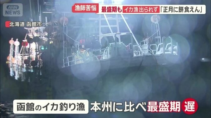 函館のイカ釣り漁は本州に比べ最盛期が遅い