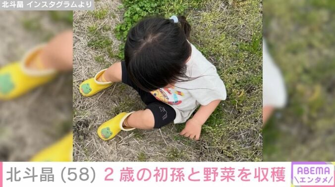 初孫・寿々ちゃん