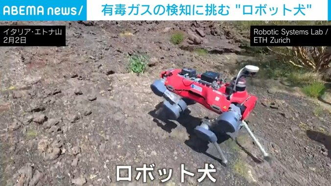 ロボット犬